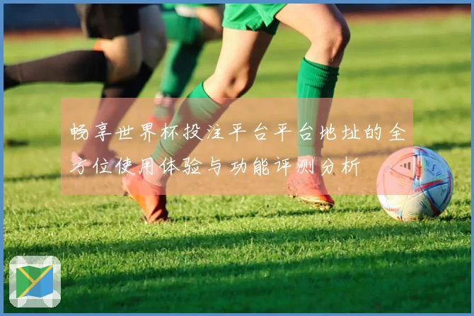 畅享世界杯投注平台平台地址的全方位使用体验与功能评测分析