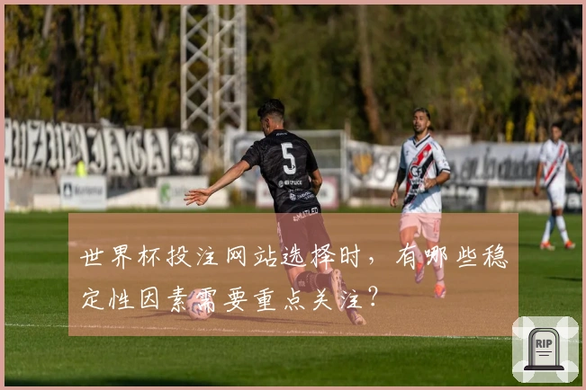 世界杯投注网站选择时，有哪些稳定性因素需要重点关注？