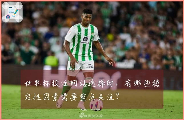世界杯投注网站选择时，有哪些稳定性因素需要重点关注？