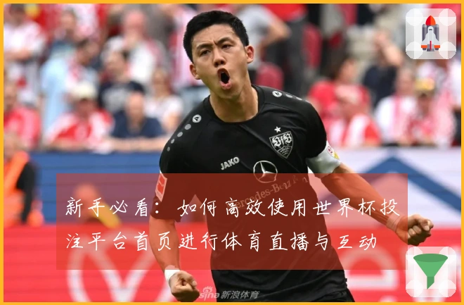 新手必看：如何高效使用世界杯投注平台首页进行体育直播与互动