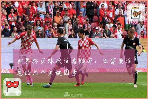 世界杯买球投注看赔率，你需要注意的几个关键因素