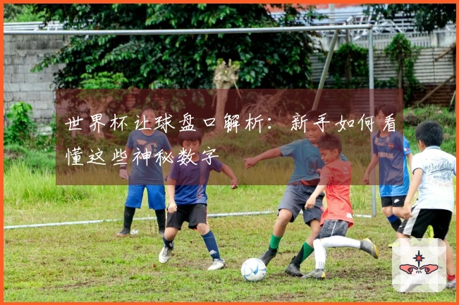 世界杯让球盘口解析：新手如何看懂这些神秘数字