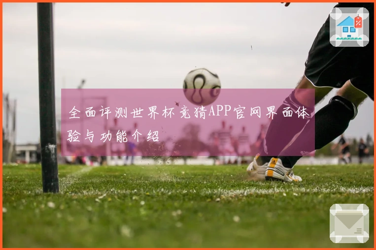 全面评测世界杯竞猜APP官网界面体验与功能介绍