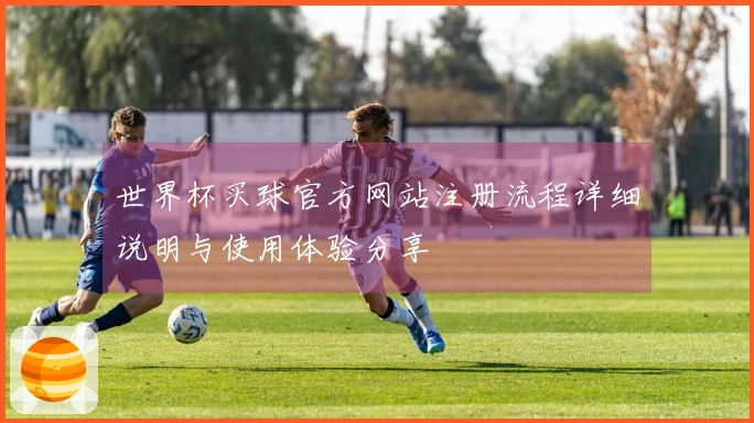 世界杯买球官方网站注册流程详细说明与使用体验分享