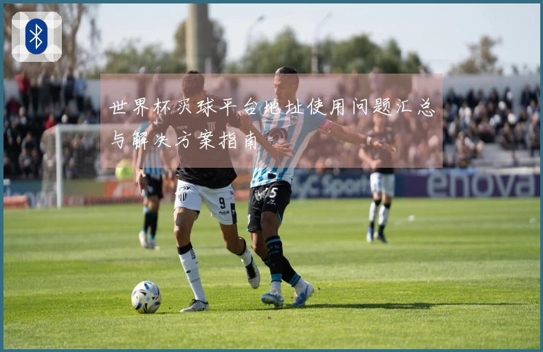 世界杯买球平台地址使用问题汇总与解决方案指南