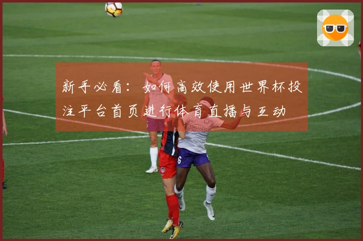 新手必看：如何高效使用世界杯投注平台首页进行体育直播与互动