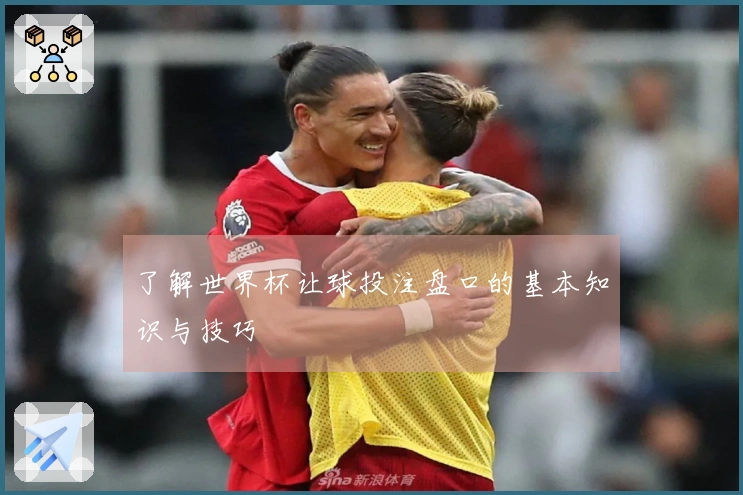 了解世界杯让球投注盘口的基本知识与技巧
