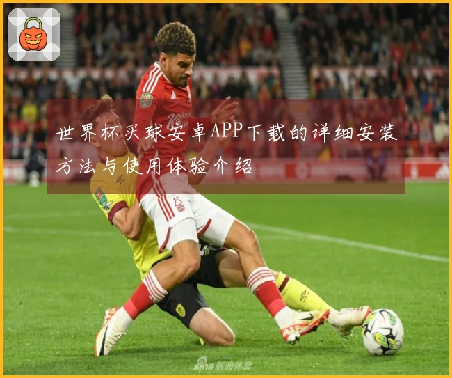 世界杯买球安卓APP下载的详细安装方法与使用体验介绍