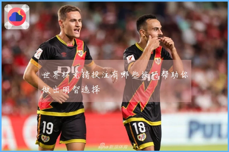 世界杯竞猜投注有哪些技巧帮助你做出明智选择