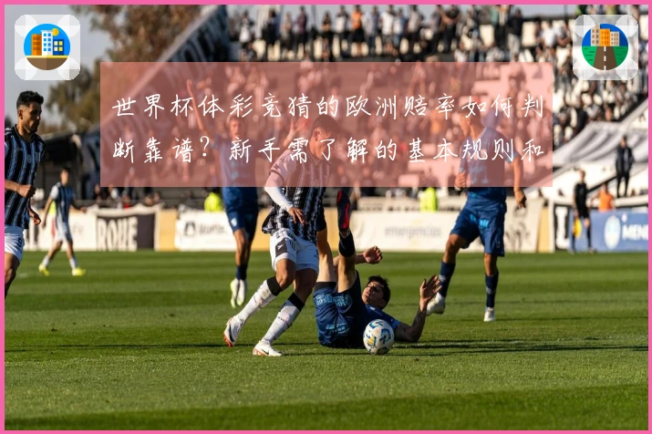 世界杯体彩竞猜的欧洲赔率如何判断靠谱？新手需了解的基本规则和注意事项
