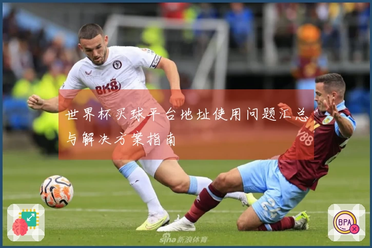 世界杯买球平台地址使用问题汇总与解决方案指南