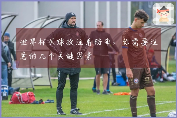世界杯买球投注看赔率，你需要注意的几个关键因素