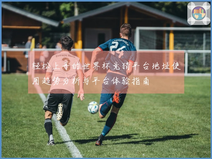 轻松上手的世界杯竞猜平台地址使用趋势分析与平台体验指南
