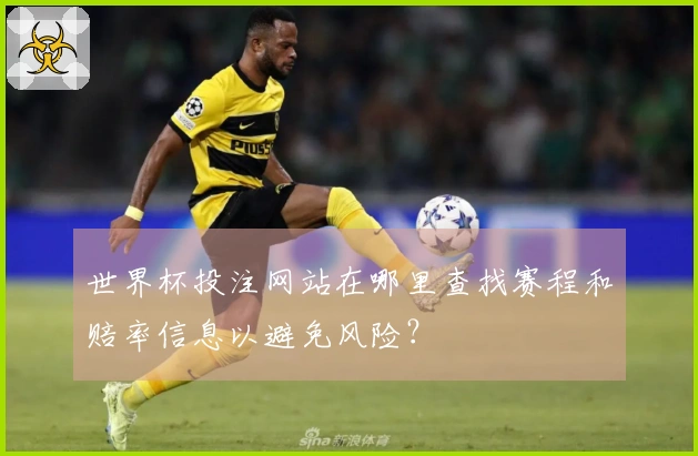 世界杯投注网站在哪里查找赛程和赔率信息以避免风险？