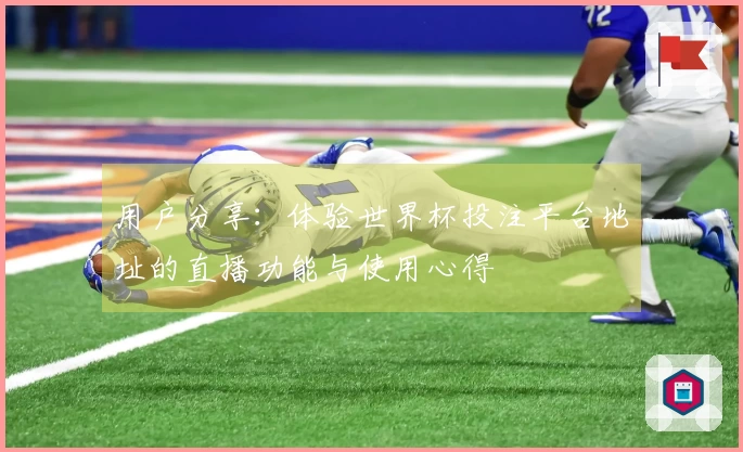 用户分享:体验世界杯投注平台地址的直播功能与使用心得